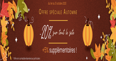 promotion octobre 2020