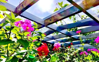 Pergola aluminium et plantes : guide complet pour végétaliser votre structure bioclimatique