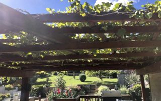 Pergola bioclimatique : quelles plantes choisir pour ombrager votre jardin ?